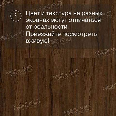 Norland Elegant Strong 12 4V 34 (CH) LF302-21 Орех Инис (фото 10)