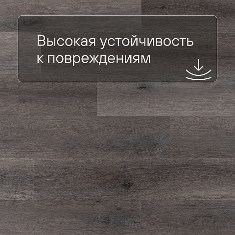 Norland Sigrid SPC (RUS) 1001-7-R Baggy 4V (фото 5)