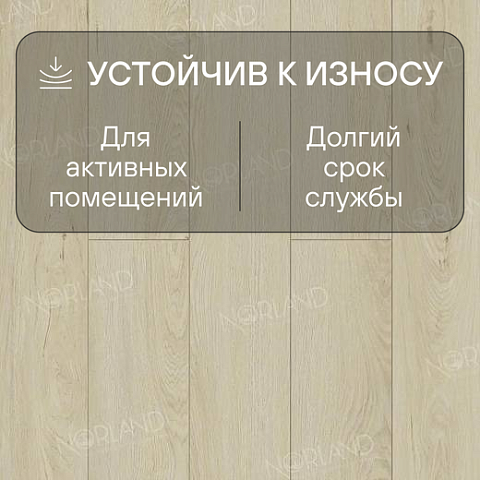 Norland Elegant Strong 12 4V 34 (CH) LF302-02 Дуб Малуку (фото 3)