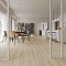 EvoFloor Home (Rus) Oak White (миниатюра фото 3)