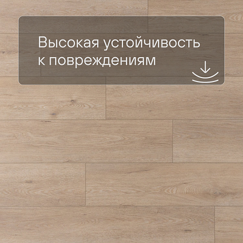 Norland Sigrid Plus SPC (CH) 1006-6 Dor 4V 43кл (фото 5)