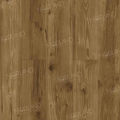 Norland Elegant Strong 12 4V 34 (CH) LF302-18 Дуб Корсика (фото 1)
