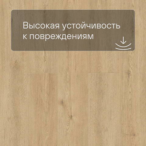 Norland Sigrid LVT (CH) 1003-3 Dor 4V 34кл (фото 8)