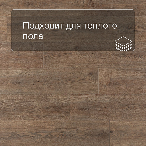 Alpine Floor SPC Solo Plus (RUS) ЕСО 14-301 Ларгетто 4V 43кл (фото 4)