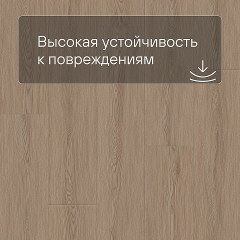 Laminext Revolute 4V Дуб Стил 1401 (фото 9)
