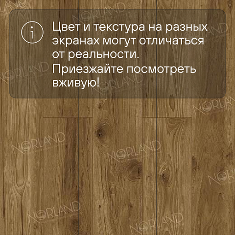 Norland Elegant Strong 12 4V 34 (CH) LF302-18 Дуб Корсика (фото 10)