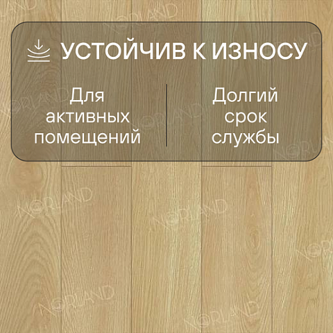 Norland Elegant Strong 12 4V 34 (CH) LF302-04 Дуб Тасмания (фото 3)