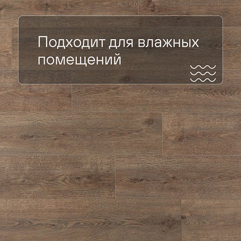 Alpine Floor SPC Solo Plus (RUS) ЕСО 14-301 Ларгетто 4V 43кл (фото 2)