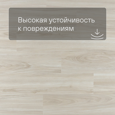Evofloor Optima Click (CN) Oak Ivory (фото 5)