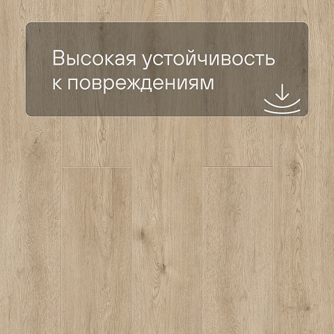 Norland Sigrid LVT (CH) 1003-1 Abbi 4V 34кл (фото 8)