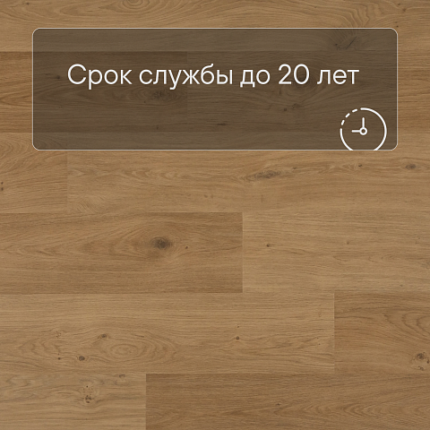 QS Second choice Alpha BLOS BASE  SPE40320 - AVSPT 40320 Дуб береговой медовый (фото 6)