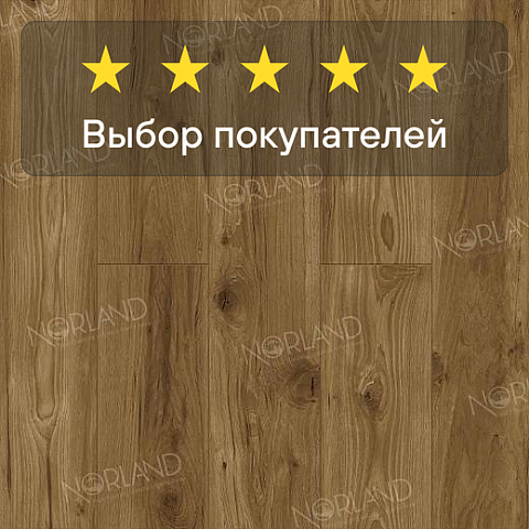 Norland Elegant Strong 12 4V 34 (CH) LF302-18 Дуб Корсика (фото 5)