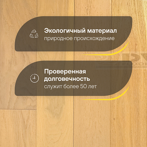 DW FLOORING 12 мм Дуб светлый бежевый DW CDL 070 лак матовый с фаской (фото 2)