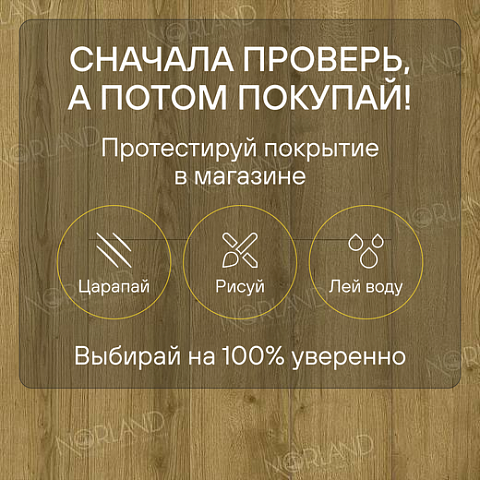 Norland Elegant Strong 12 4V 34 (CH) LF302-17 Дуб Фанэн (фото 6)