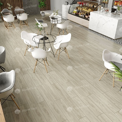 Alpine Floor SPC Solo Plus (RUS) ЕСО 14-901 Маэстоса 4V 43кл (фото 3)