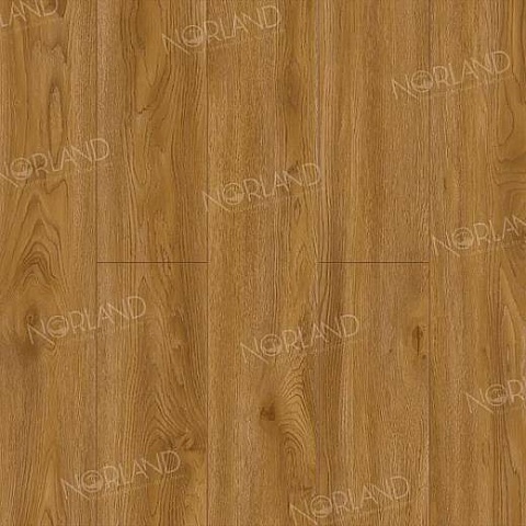 Norland Elegant Strong 12 4V 34 (CH) LF302-10 Дуб Хонсю (фото 1)