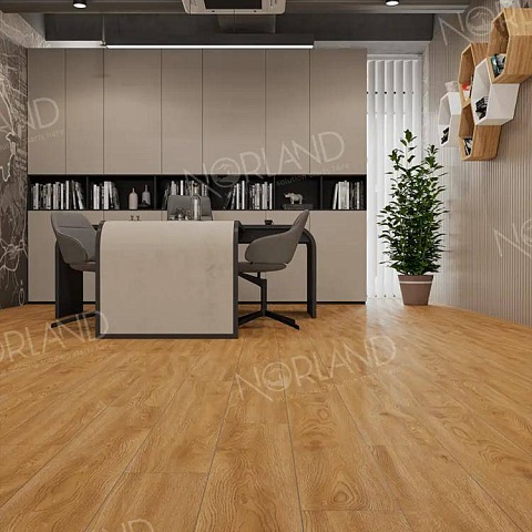 Norland Elegant Strong 12 4V 34 (CH) LF302-10 Дуб Хонсю (фото 7)