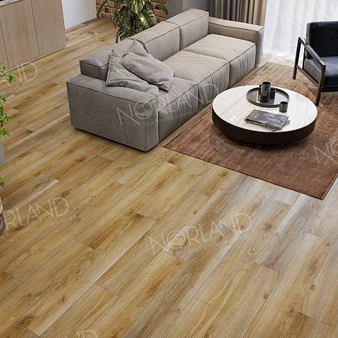 Norland Elegant Strong 12 4V 34 (CH) LF302-11 Дуб Крете (фото 8)