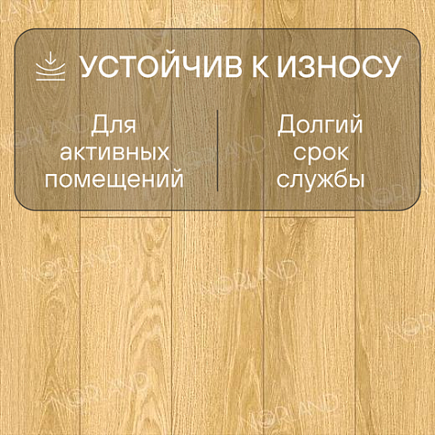 Norland Elegant Strong 12 4V 34 (CH) LF302-07 Дуб Тавора (фото 3)