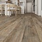 EvoFloor Home (Rus) Oak Ashen (миниатюра фото 11)