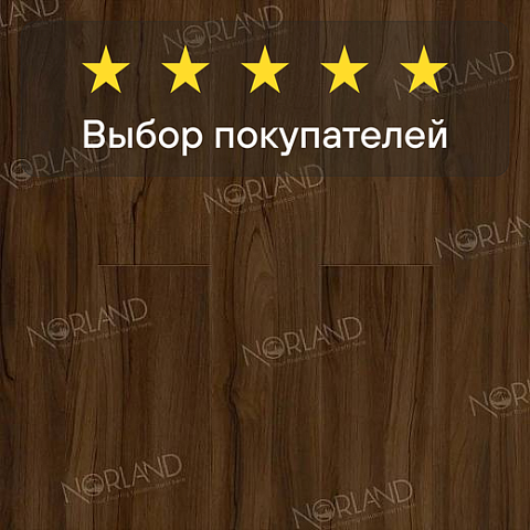 Norland Elegant Strong 12 4V 34 (CH) LF302-21 Орех Инис (фото 5)
