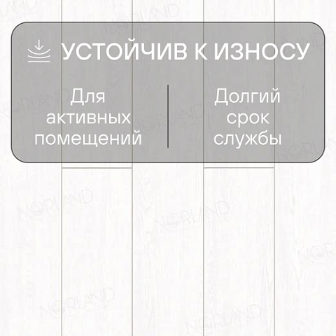 Norland Elegant Strong 12 4V 34 (CH) LF302-01 Дуб Ланай (фото 3)