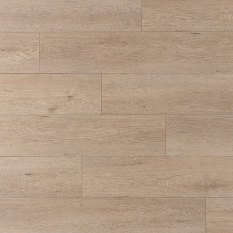Norland Sigrid Plus SPC (CH) 1006-6 Dor 4V 43кл (фото 1)