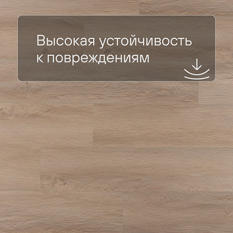 EvoFloor Home (Rus) Oak Antique (фото 5)