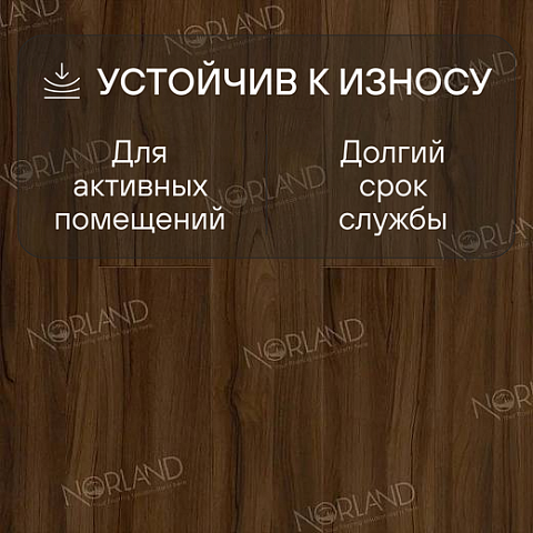 Norland Elegant Strong 12 4V 34 (CH) LF302-21 Орех Инис (фото 3)