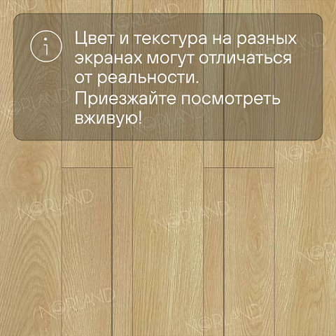 Norland Elegant Strong 12 4V 34 (CH) LF302-04 Дуб Тасмания (фото 10)