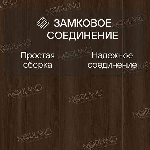 Norland Elegant Strong 12 4V 34 (CH) LF302-22 Дуб Треско (фото 4)